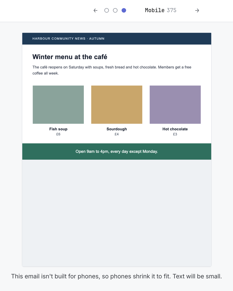The phone preview of a fixed-width imported email shrunk to fit, with the note that text will be small.